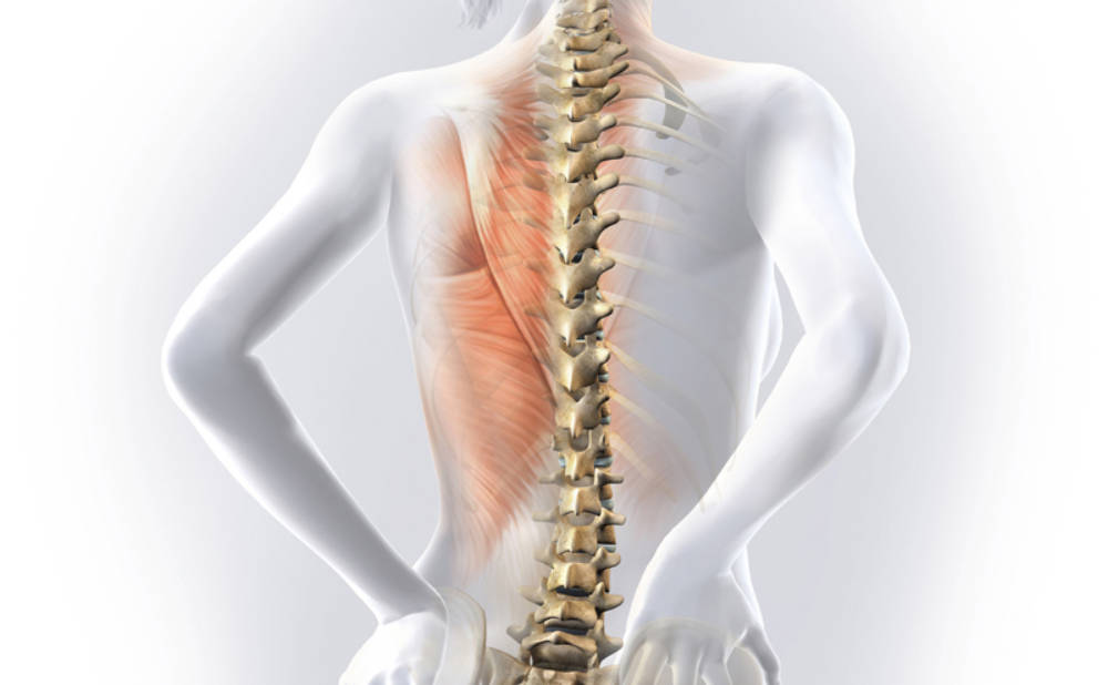 Dame-med-ryggrad-tegning-forside-NY-nettside-20151