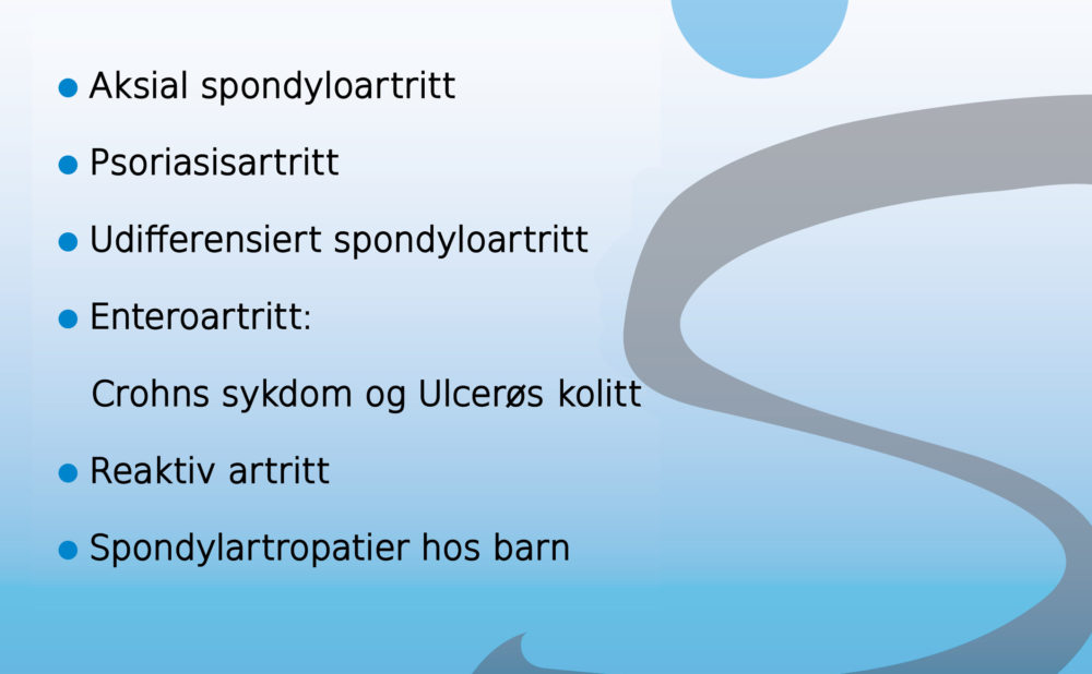 blimedlembilde web_LM2